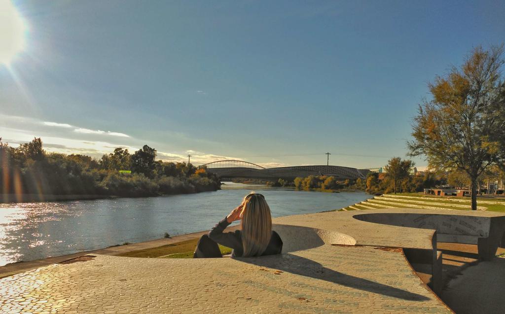 Mirador Del Ebro Διαμέρισμα Σαραγόσα Εξωτερικό φωτογραφία